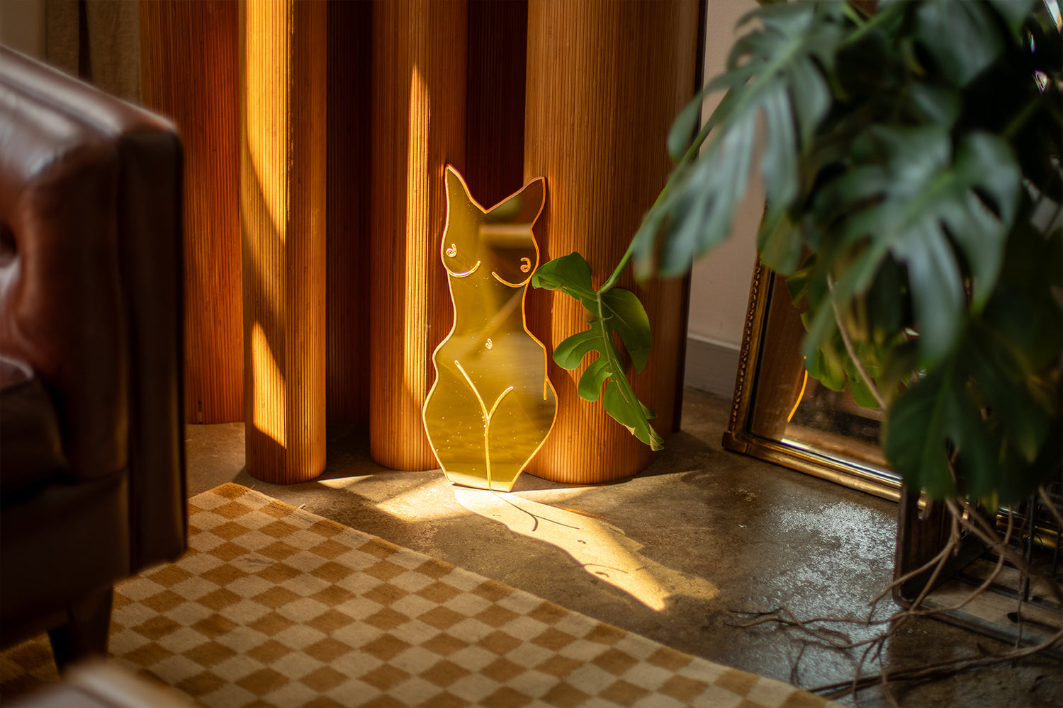 The Silhouette Mirror